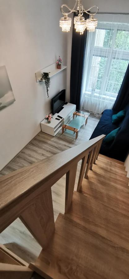 New Cosy Studio Karlovy Vary Kültér fotó